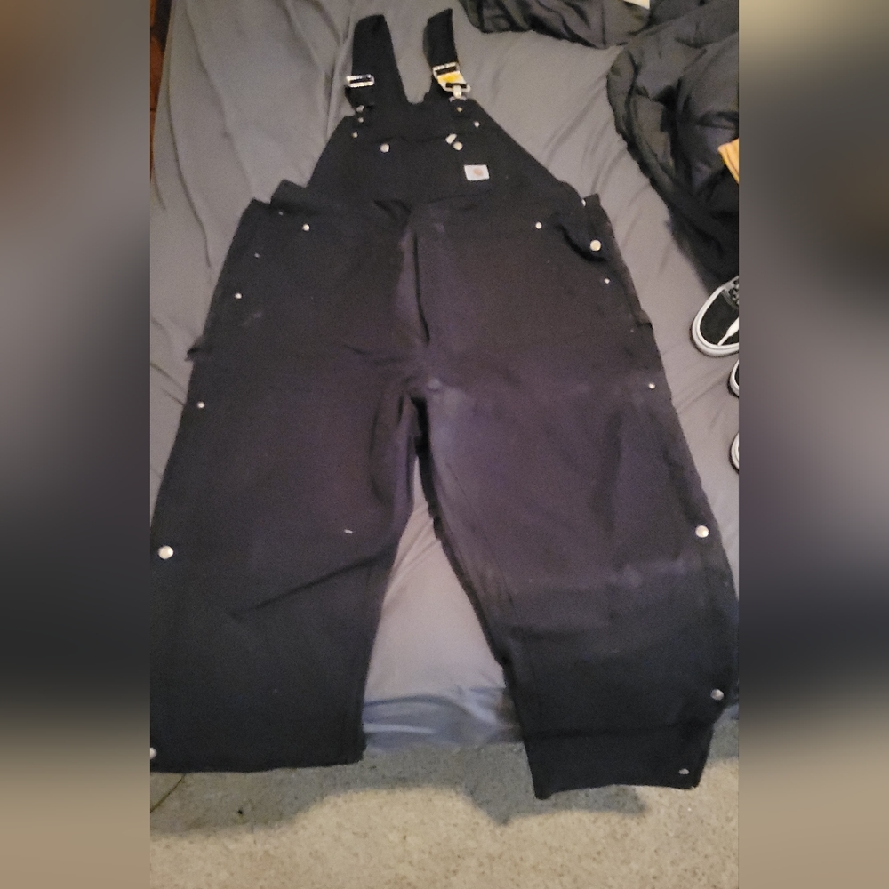 Carhartt Insulated Bibs